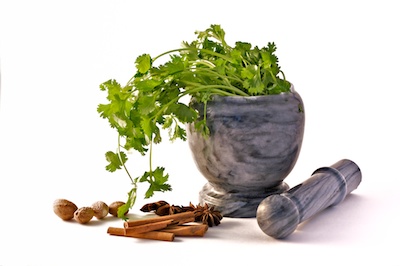 herbs