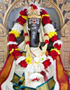 Pujas and Havans